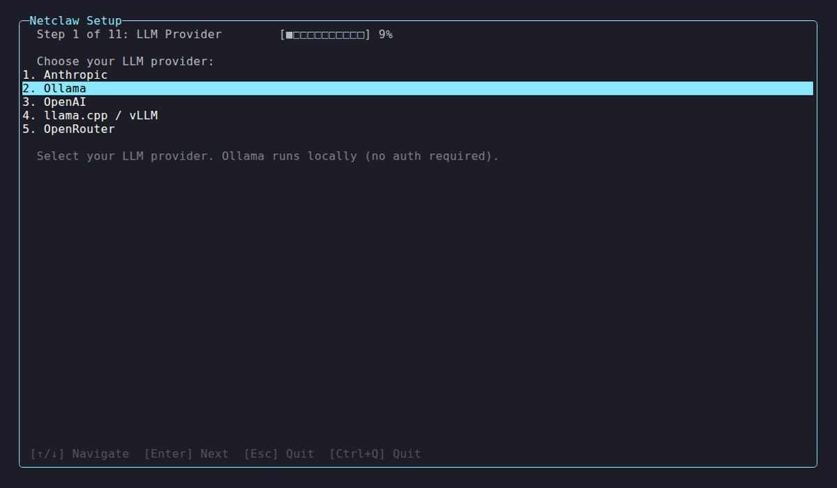 Ollama provider configuration