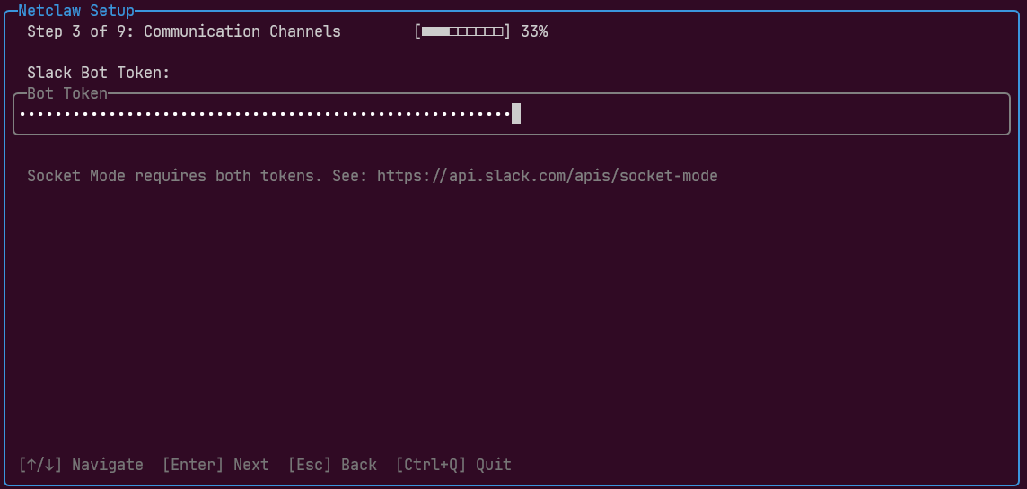 Slack bot token entry